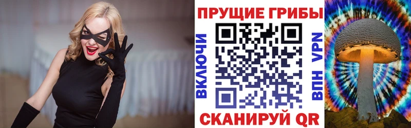 где продают   Пласт  Псилоцибиновые грибы ЛСД 
